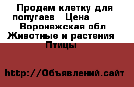 Продам клетку для попугаев › Цена ­ 500 - Воронежская обл. Животные и растения » Птицы   